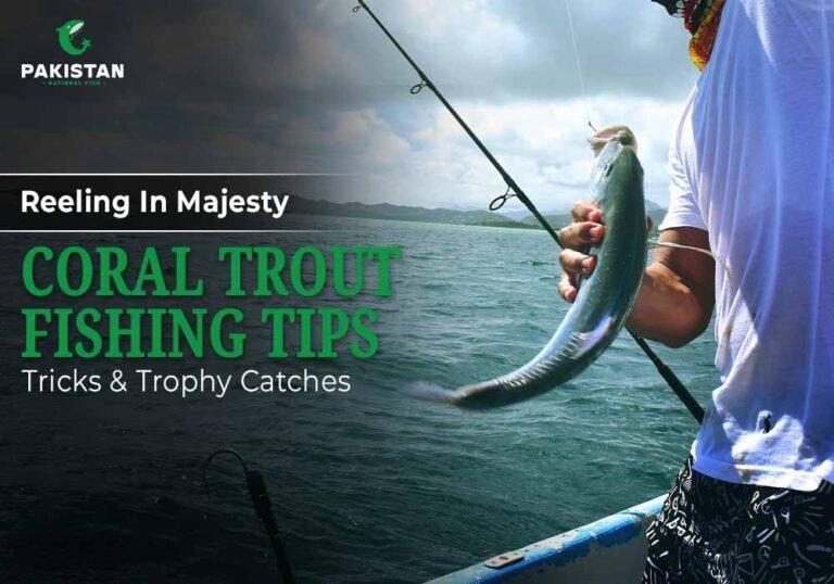 Coral trout fishing in clear tropical waters with vibrant reef background