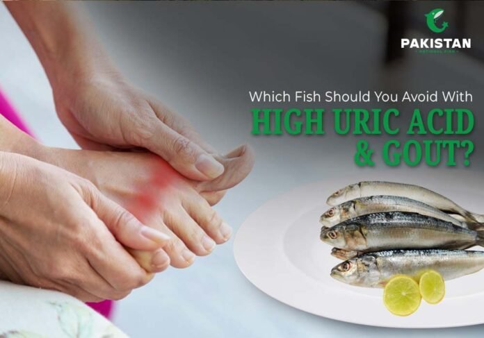 High Uric Acid - Pakistan National Fish