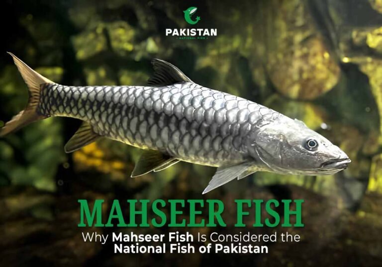 Mahseer Fish - Pakistan National Fish