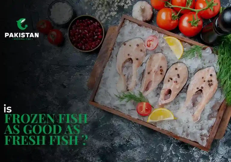 frozen fish meals - Pakistan National Fish