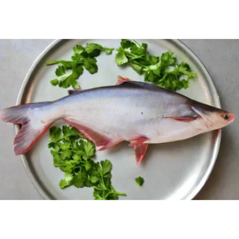 Why Pangasius Fish is a Budget-Friendly, Tasty, and Farming-Friendly Option Pangasius Fish Farming - Pakistan National Fish
