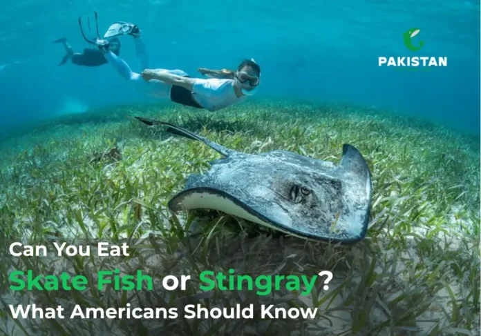 skate fish facts - Pakistan National Fish