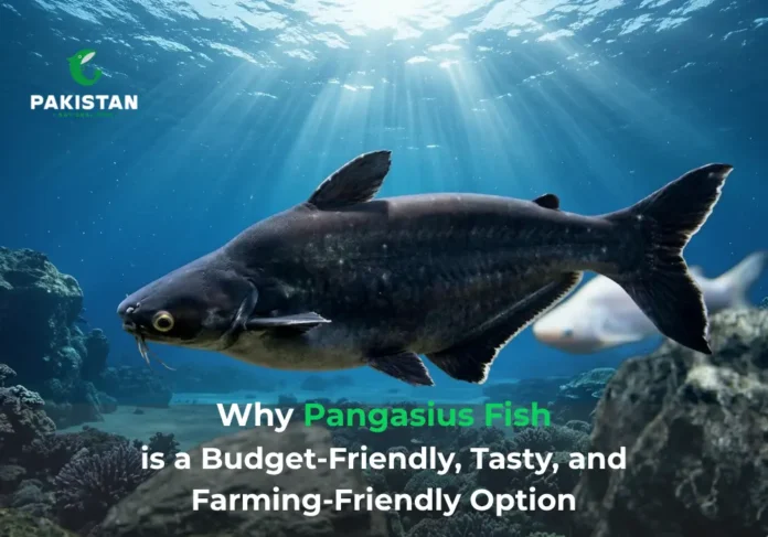Pangasius Fish Farming - Pakistan National Fish