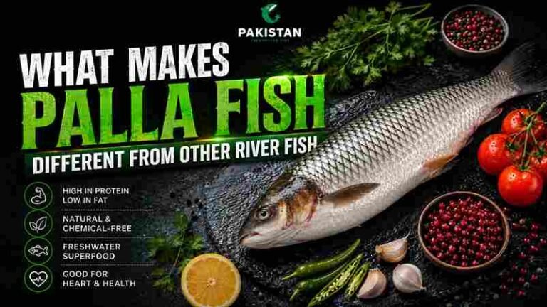 palla fish